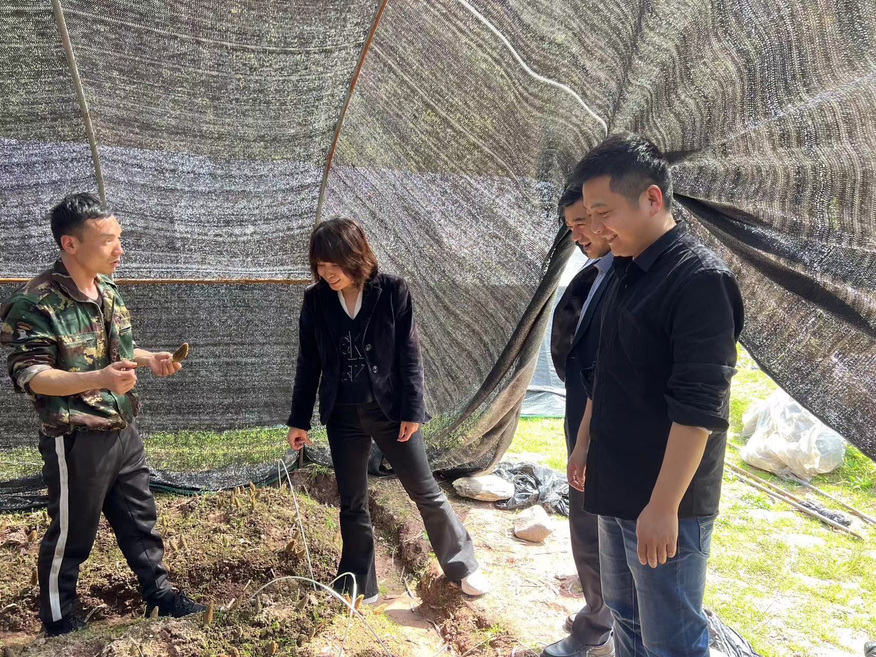 首页- Z6官网中国区人生就是博