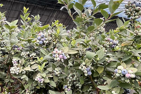 首页- Z6官网中国区人生就是博