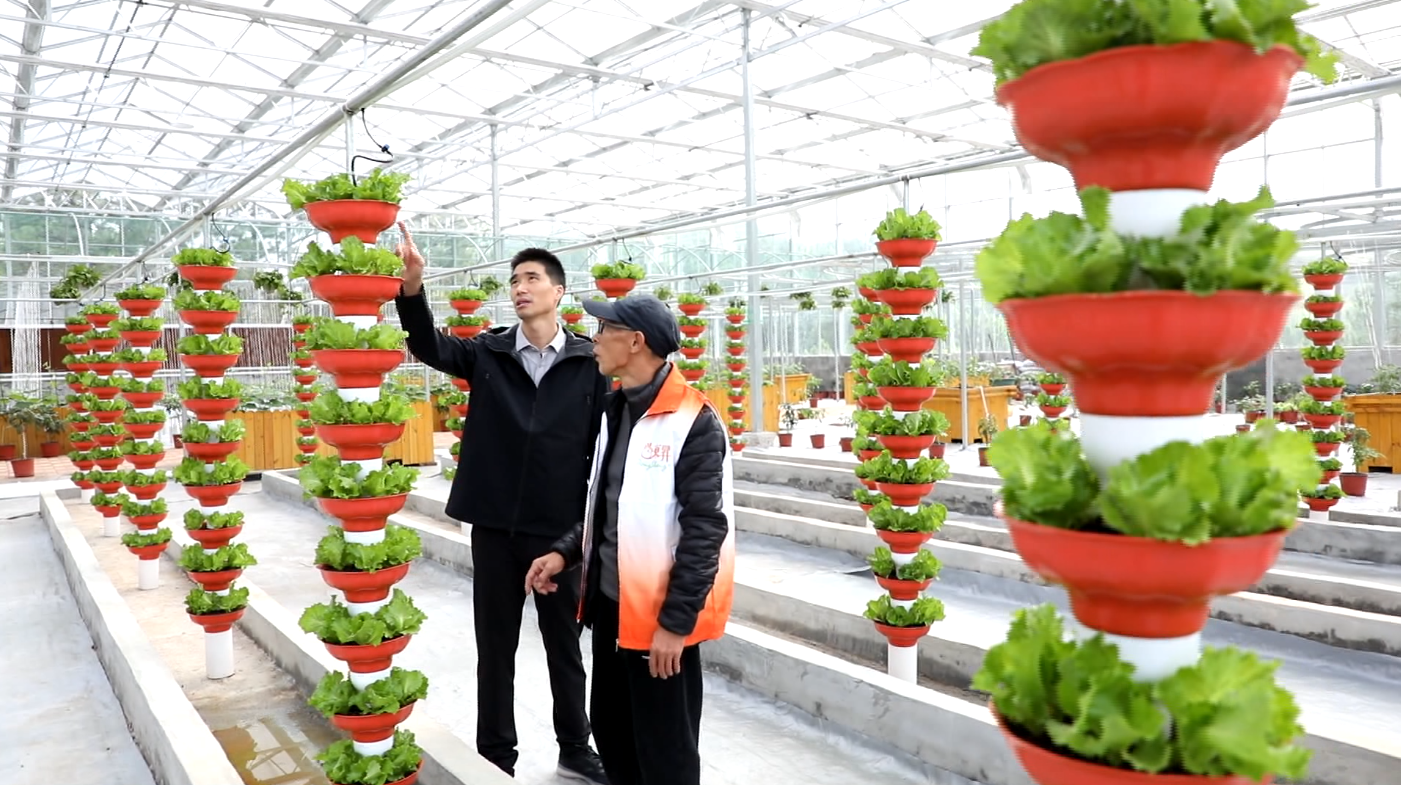 首页- Z6官网中国区人生就是博